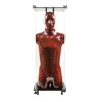 RSD's Alderson Radiation Therapy (ART) Phantom