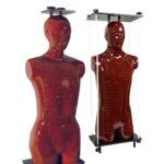 The Alderson Radiation Therapy Phantom - Image 2